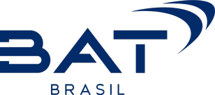 BR BAT LOGO